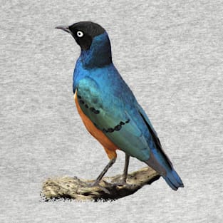 Starling in Arica T-Shirt